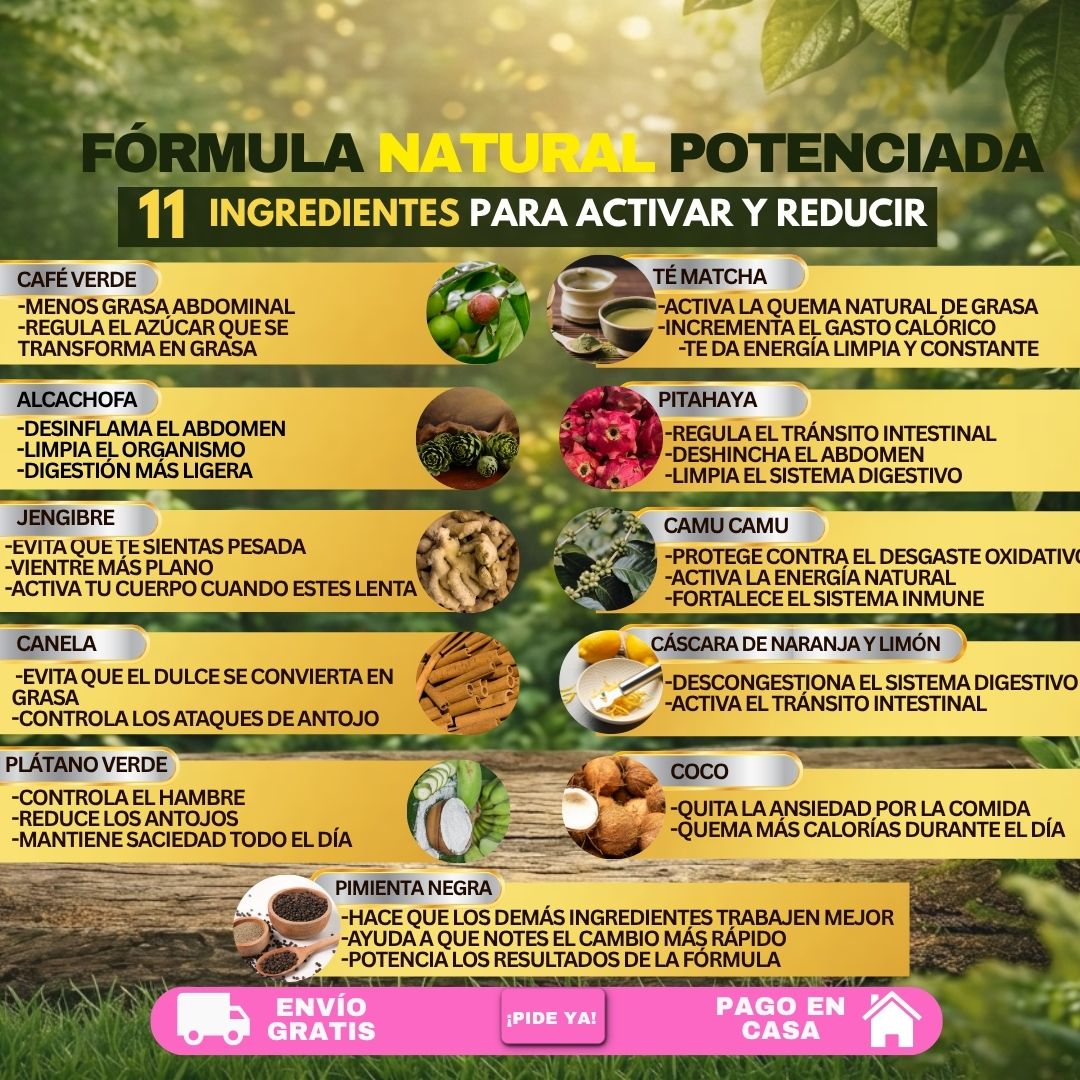 HEAL FIT (TÉ MATCHA QUE REDUCE Y ACTIVA)